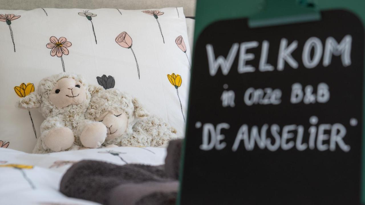 De Anselier Bed and Breakfast Ansen Exteriör bild